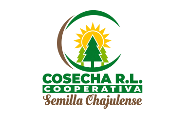 cooperativa-semilla-chajulense