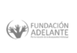 fundacion-adelante-logo